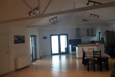 Casa Bogati, Arges, zona Topoloveni Casa Bogati, Arges, zona Topoloveni - 3