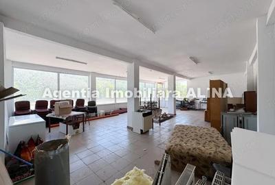 Spatiu comercial spre iesire din Loc. Deva (spre Mintia) zona Izvorul Decebal, Jud. Hunedoara. - 14