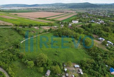 Teren de vanzare, Com. Racova, Str. Bradului, Bacau - 8