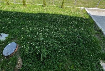 Apartament cu 3 camere semidecomandat în Florești - 16