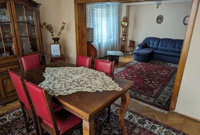 Casa de Vis de vanzare in Brad Spatiu, Liniste si Confort in apropierea Centrului! Casa de Vis de vanzare in Brad Spatiu, Liniste si Confort in apropierea Centrului! - 10