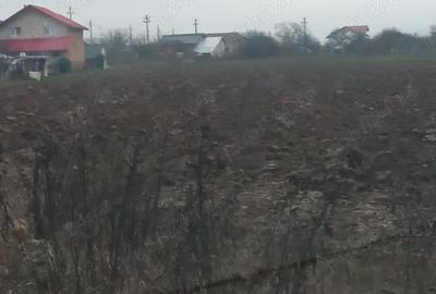 Teren de 2000 mp, în Pleașa