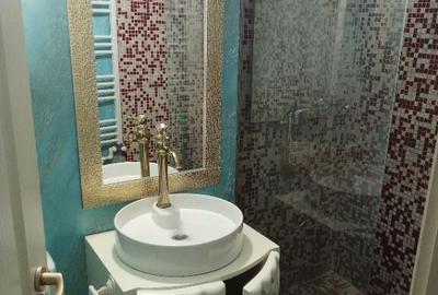 De inchiriat apartament 1 camera Calarasilor-Faleza - 1