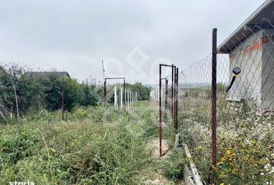 Casă cu 4 camere cu Teren 2500 Mp în Oșorhei - 6