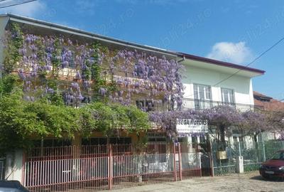 Case alaturate cu gradina, parcare ?i poten?ial comercial in Elisabetin - 1