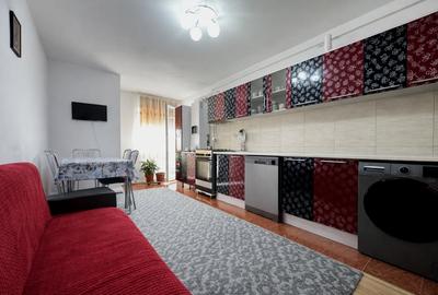 Apartament cu 2 camere decomandat, mobilat în Cetate - 19