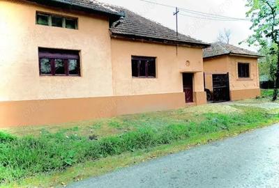 Casă cu 5 camere în Holod - 1