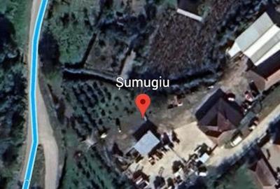 Teren intravilan Sumugiu - 1