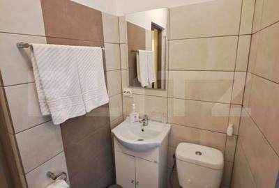 Studio nou renovat, in Centrul Istoric al Brasovului – ideal afacere Booking - 7