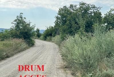 Teren 7.200 mp, de vanzare, loc. Rusi Ciutea, com. Letea Veche, jud. Bacau - 9