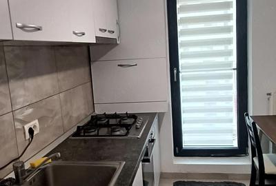 Garsonieră decomandată în Lujerului - 5