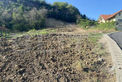 Teren intravilan cu toate utilitatile, 2000 mp, zona Episcop - 10