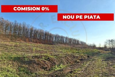 Teren Construcții intravilan de 5726 mp, în Est