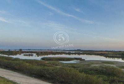 Teren agricol intravilan de 4472 mp, în Cornetu - 5