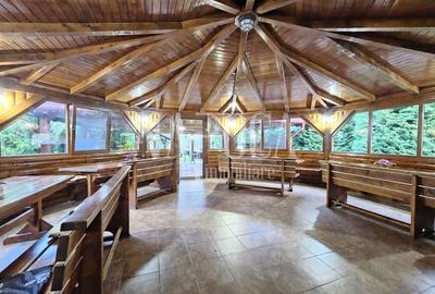 Casă individuală cu 19 camere cu Teren 9669 Mp în Mărgău - 7