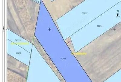 Teren de 46500 mp, în Dângeni - 7