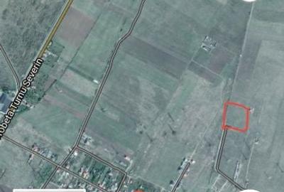 Teren de 5000 mp, în Dudașu - 7