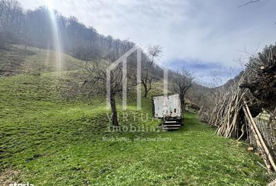 Teren de 12167 mp, în Câineni - 6