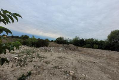 Teren intravilan, 3.063 mp, str.Merilor, zona in dezvolta - 8