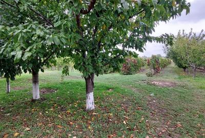 Casă cu 4 camere în Exterior Vest - 4