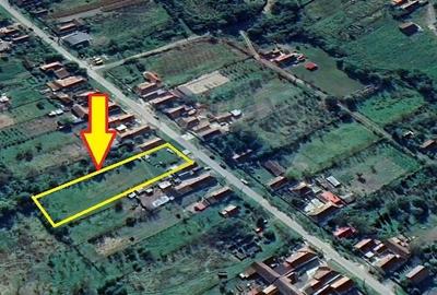 Teren Construcții intravilan de 1359 mp, în Buzad