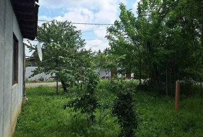 Casă cu 3 camere cu Teren 2420 Mp în Central - 10