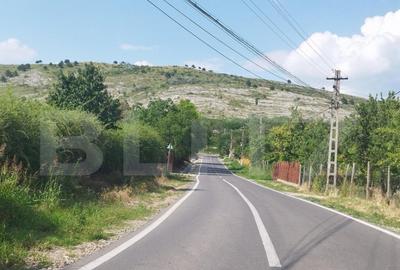 Teren, 3600mp, Drumul Vinului Teren, 3600mp, Drumul Vinului - 5