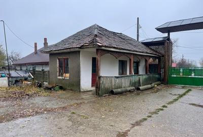 Teren investiție, de 90,000 mp, în Dridu - 1