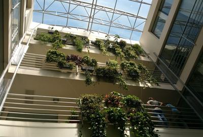 Inchiriere spatiu de Birouri 140 mp. Ultracentral Cluj-Napoca - 2