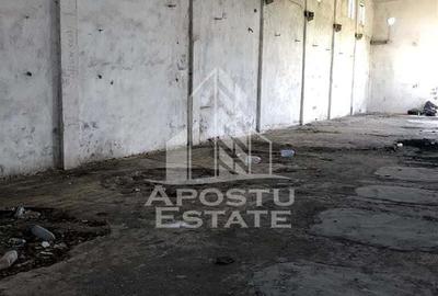 Teren 8000 mp cu hala de 700 mp - 3