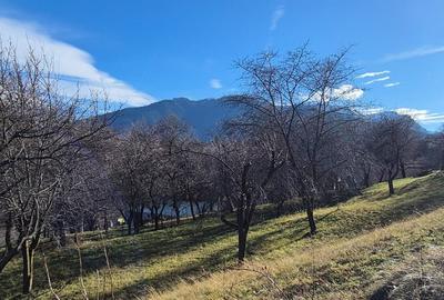 Teren intravilan Sohodol, priveliste catre Bucegi, Piatra Craiului,Magura Codlei - 9