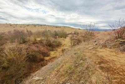 Teren de 28381 mp, în Central - 2