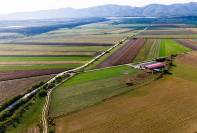 Teren de 18000 mp, în Rotbav - 9