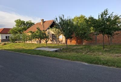 Casa pentru demolare/renovare in Nadlac cu teren 616mp - 4