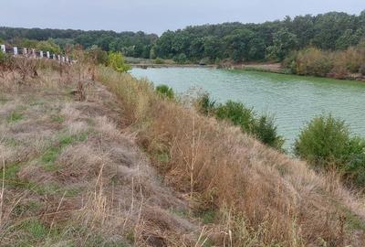 De vanzare teren cu deschidere la lac - 6