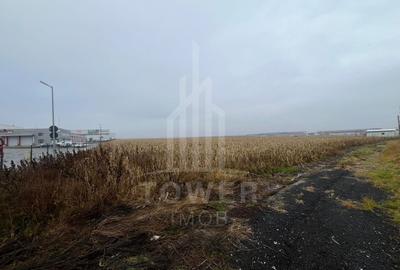 Teren Intravilan | Zona Industriala Vest | 20.663 mp - 20