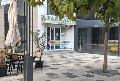 Decebal Spatiu comercial de parter 30 mp etaj 28 mp - 12