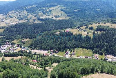 Teren Construcții intravilan de 16517 mp, în Arieșeni - 1