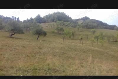 Casă cu 5 camere cu Teren 70000 Mp în Blăjeni - 1