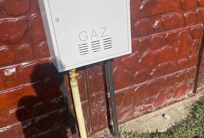Casă cu Teren 2750 Mp în Vulpeni - 4