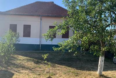 Casă cu 4 camere cu Teren 1439 Mp în Mașloc - 3