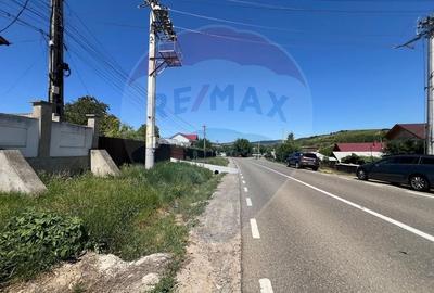 Casa / Vila cu 5 camere de vanzare - 7