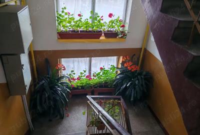 De vanzare: Apartament spa?ios cu 3 camere pe Drumul Botizului De vanzare: Apartament spa?ios cu 3 camere pe Drumul Botizului - 7