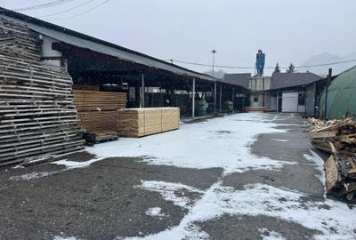 Teren de 26000 mp, în Proieni - 3
