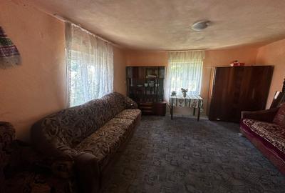 Casă individuală cu 3 camere cu Canalizare în Tălmăcel - 6