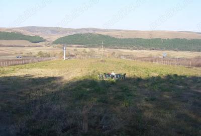 PF inchiriez 11000 mp teren in Gilau aproape de nodul de autostrada acces din DN1 ,parking depozit - 2