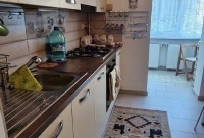 Apartament cu 2 camere decomandat în Nicolina - 3