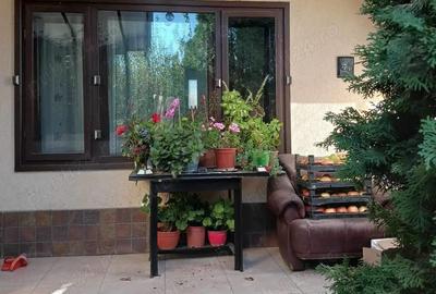 Casă cu 4 camere în Valea Adâncă - 2