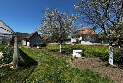Casă cu 4 camere în Tritenii-Hotar - 1