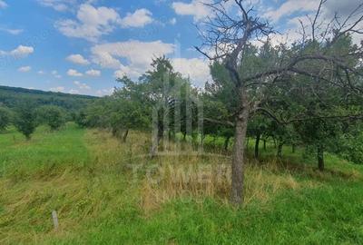 Teren de 594 mp, în Sibiel - 6